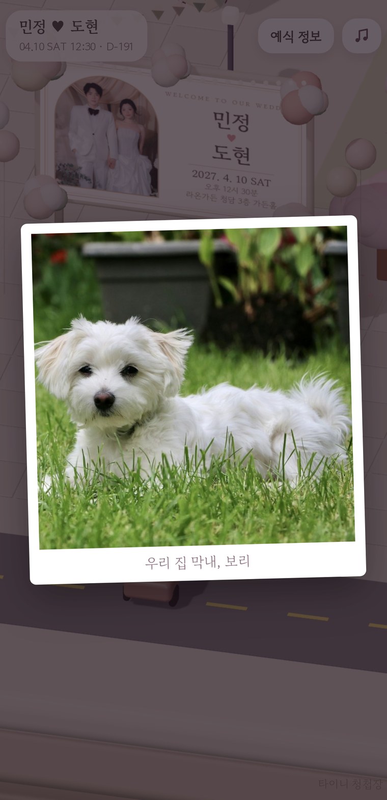 마중 나온 반려견의 실제 사진